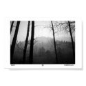 Snow posters by wonderdoginc Snow posters