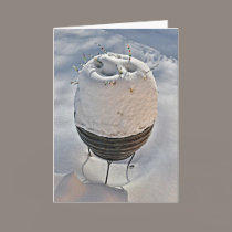 Snow Pot cards