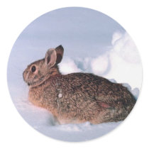 Snow Rabbit Christmas Card Envelope Seals stickers