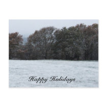 Snow Scene Holiday Postcard postcards