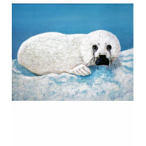 Snow Seal Emily Winter t-shirts by emilyrosey Snow Seal Emily Winter t-shirts