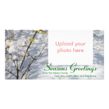 Snow Seasons Greetings Custom Photo Card