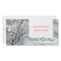 Snow Seasons Greetings Custom Photo Card