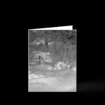 Snow Shadows Note Card cards