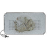 Snow Shell Speaker speakers