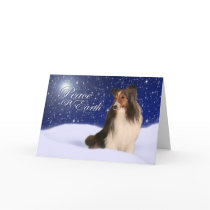Snow Sheltie Holiday Card cards