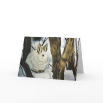 "Snow Shoe Hare" cards by paintonmypaws "Snow Shoe Hare" cards