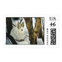 "Snow Shoe Hare" postage