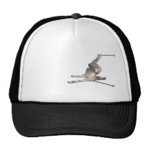 Snow Skiing; Cool Black Trucker Hats