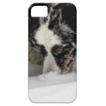 Snow Snout Corgi iPhone 5 Cover