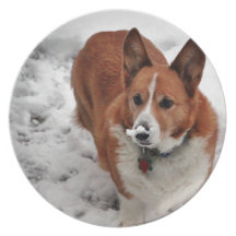 Snow Snout Party Plate