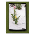 Snow Sprinkled Pink and Yellow Tulips cards