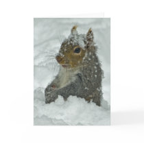 Snow Squirrel Card