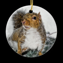 Snow Squirrel ornaments