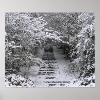 Snow steps print