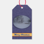 Snow Storm in Maine Pack Of Gift Tags
