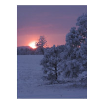 Snow Sunset posters