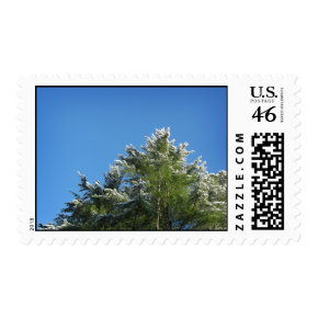 Snow-tipped Pine Tree on Blue Sky - Medium Postage Stamp