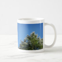 Snow-tipped Pine Tree on Blue Sky mugs