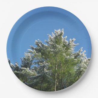 Snow-tipped Pine Tree on Blue Sky 9 Inch Paper Plate