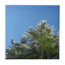 Snow-tipped Pine Tree on Blue Sky tiles