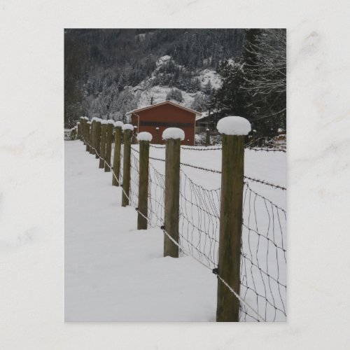 Snow Topped Rural Farm Fenceposts postcard