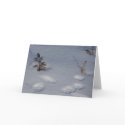 Snow/Tracks Card