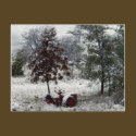Snow Tractor postcards by dbuckman Snow Tractor postcards