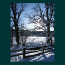 Snow Trail posters