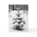 Snow Tree 1 cards by dacialane Snow Tree 1 cards