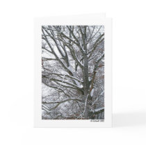 Snow Tree cards by StarLily Snow Tree cards