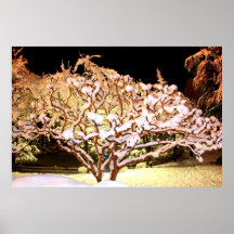 Snow Tree Print