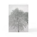 Snow Trees cards