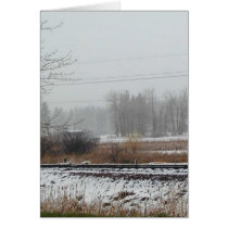 Snow Trees Fields cards