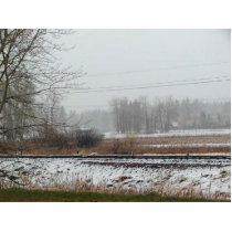 Snow Trees Fields Photo Cutouts