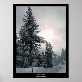 Snow Trees Print print