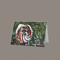 Snow Turbine cards