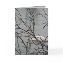 Snow White cards by MoiraAshleigh Snow White cards