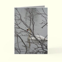 Snow White cards by MoiraAshleigh Snow White cards
