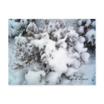 Snow White postcards by sorbetlove Snow White postcards