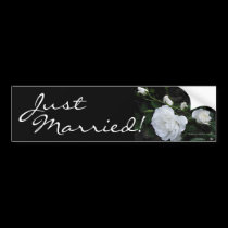 Snow White Rose - Bumper Sticker bumper stickers by ArtByLindaLou Snow White Rose - Bumper Sticker bumper stickers