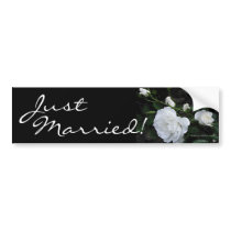 Snow White Rose - Bumper Sticker bumper stickers