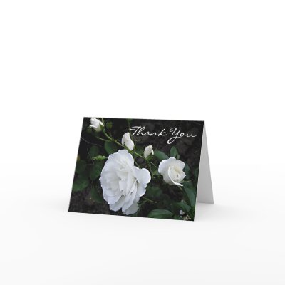 Snow White Rose - Thank You Card by ArtByLindaLou
