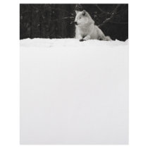 Snow Wolf Customized Letterhead