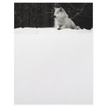 Snow Wolf Customized Letterhead