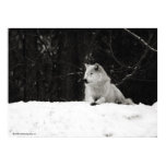 Snow Wolf Poster