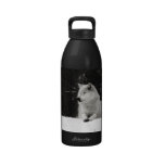 Snow Wolf Reusable Water Bottles