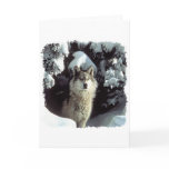 Snow Wolf  Wolves Greeting Card