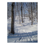 Snow Woods posters