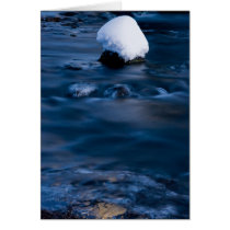 Snow World #6 cards